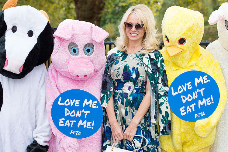 Pamela Anderson Joins PETA to Promote Vegan Food: 10 Celebs Who Love and Follow Vegan Diet - Foods4BetterHealth